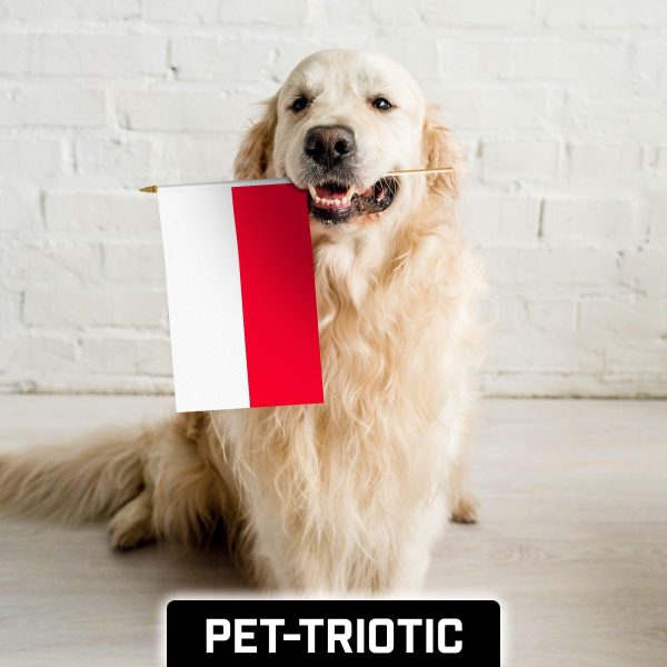 G128 30 Pack Handheld Poland Polish Stick Flags | 12x18 In | Printed 150D Polyester, Country Flag, Solid Wooden Stick, Spear Gold Tip - Image 7