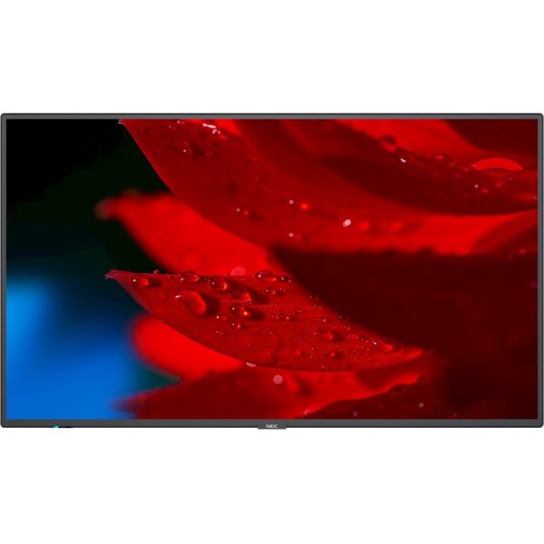 NEC Display 43" Wide Color Gamut Ultra High Definition Professional Display - Image 11