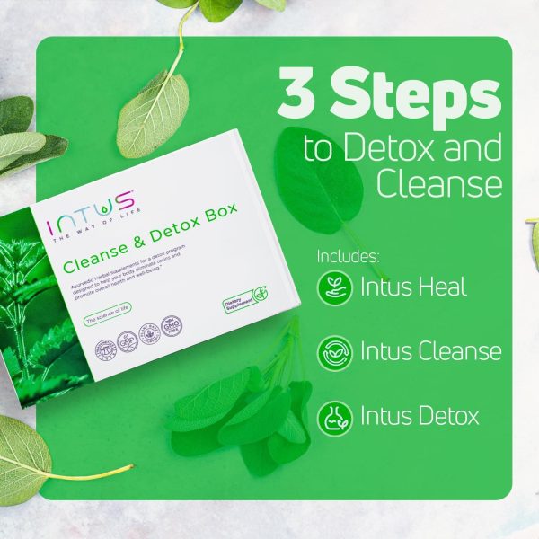 Intus Clean and Detox Box   Ayurvedic Detox Program to Promote Gut and Colon Cleanse and Support Digestion and a Healthy Microbiome   Digestive Health Dietary Supplement for Overall Well Being - Image 3