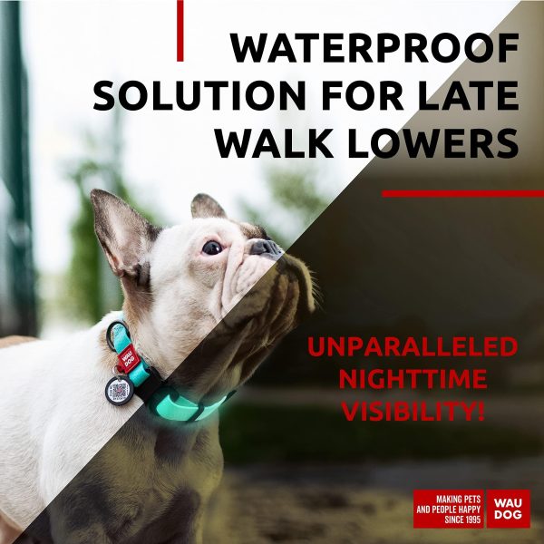 WAUDOG Waterproof Dog Collar   Adjustable Glow Dog Collar for Large Dogs Small and Medium Dogs   Heavy Duty Dog Collars with Durable Metal Clasp and QR Dog Tag   Glow in The Dark Dog Collars - Image 2
