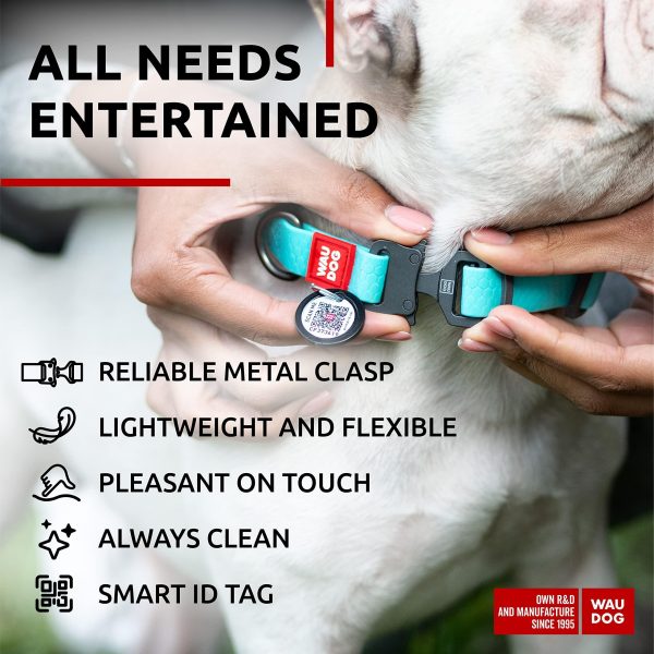 WAUDOG Waterproof Dog Collar   Adjustable Glow Dog Collar for Large Dogs Small and Medium Dogs   Heavy Duty Dog Collars with Durable Metal Clasp and QR Dog Tag   Glow in The Dark Dog Collars - Image 3