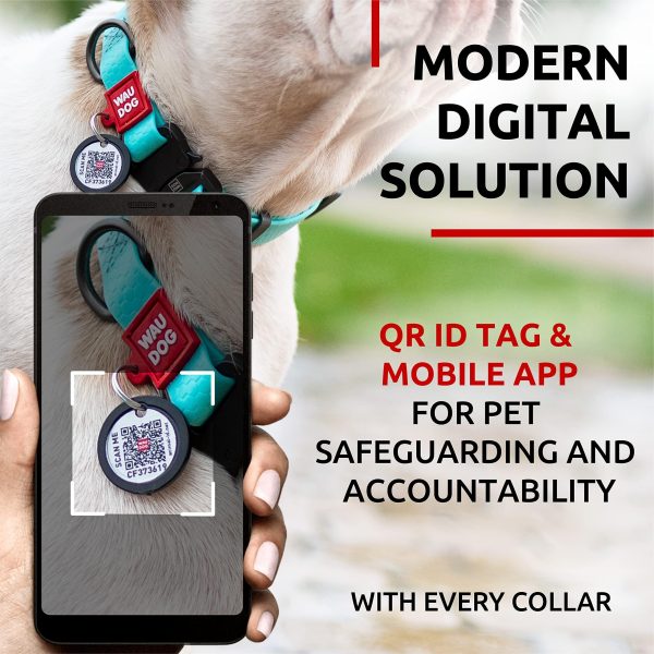 WAUDOG Waterproof Dog Collar   Adjustable Glow Dog Collar for Large Dogs Small and Medium Dogs   Heavy Duty Dog Collars with Durable Metal Clasp and QR Dog Tag   Glow in The Dark Dog Collars - Image 4