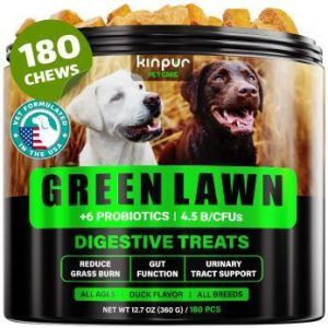 Green Lawn Chews for Dogs - Natural Dog Urine Neutralizer for Lawn with Cranberry, Probiotics, ACV & Digestive Enzymes - 180 Chews for Healthy Bladder, Urinary Tract - Grass Burn, Yellow Spots Treats