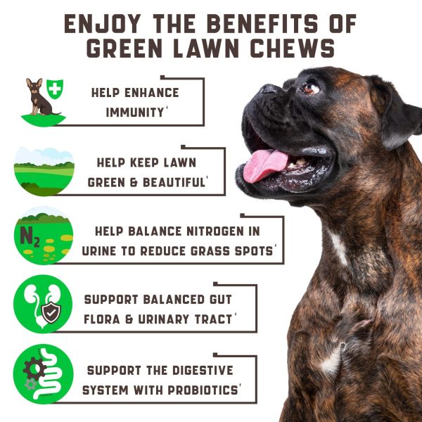 Green Lawn Chews for Dogs - Natural Dog Urine Neutralizer for Lawn with Cranberry, Probiotics, ACV & Digestive Enzymes - 180 Chews for Healthy Bladder, Urinary Tract - Grass Burn, Yellow Spots Treats - Image 4