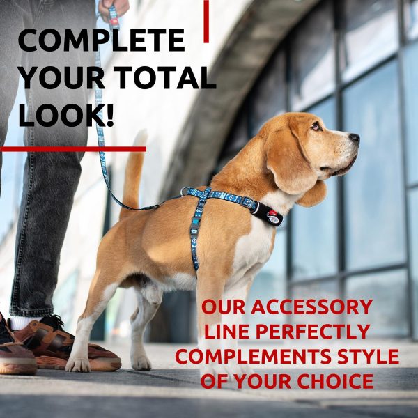 WAUDOG Nylon Dog Leash for Small Dogs and Medium Dogs 4 Ft   Strong Dog Leash for Large Dogs   Heavy Duty Dog Leashes for Large Breed Dogs & Puppy Leash for Small Boy & Girl Dogs - Image 6