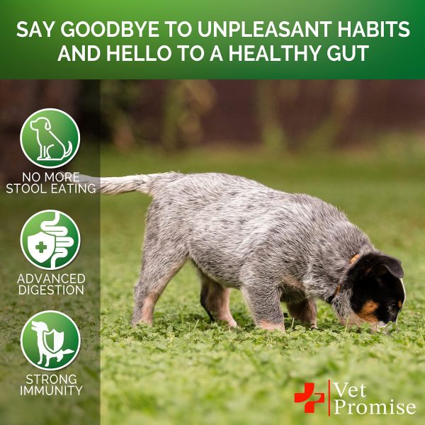 No Poo Chews   Coprophagia Stool Eating Deterrent for Dogs   Prevent Dog from Eating Poop   Stop Eating Poop for Dogs with Probiotics & Enzymes   Forbid for Dogs   Made in USA   120 Soft Treats - Image 4