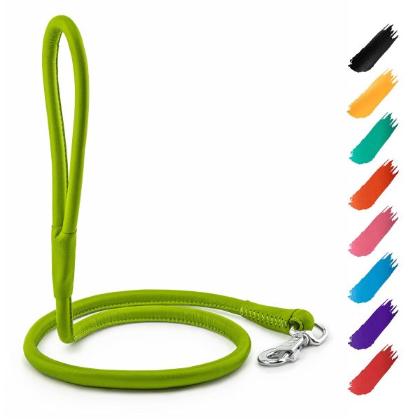 WAUDOG Rolled Leather Dog Leash 4Ft * 0.3 in for Small Medium and Large Dogs   Heavy Duty Leather Puppy Leash for Outdoor Walking Running Training   Strong Dog Leashes for Large Breed Dogs (Green)