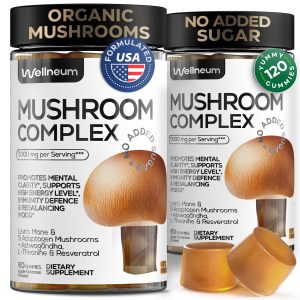 Mushroom Gummies 5000 Mg for Adults   Lion's Mane and 9 Adaptogenic Mushrooms Blend   Ashwagandha L Theanine   Organic Adaptogenic Mix for Energy Immunity and Focus   No GMO Sugar Free   2 Pack
