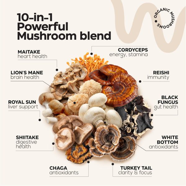 Mushroom Gummies 5000 Mg for Adults   Lion's Mane and 9 Adaptogenic Mushrooms Blend   Ashwagandha L Theanine   Organic Adaptogenic Mix for Energy Immunity and Focus   No GMO Sugar Free   2 Pack - Image 4
