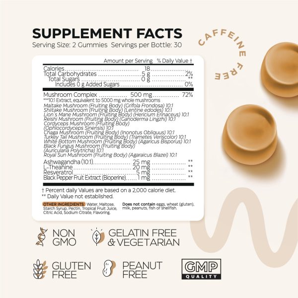 Mushroom Gummies 5000 Mg for Adults   Lion's Mane and 9 Adaptogenic Mushrooms Blend   Ashwagandha L Theanine   Organic Adaptogenic Mix for Energy Immunity and Focus   No GMO Sugar Free   2 Pack - Image 7