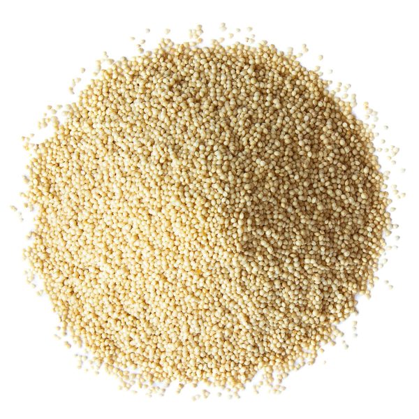 Organic Amaranth Grain 5 Pounds – Non GMO 100% Whole Grain Kosher Vegan Bulk Seeds - Image 2