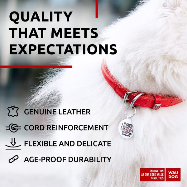 Ultra Soft Rolled Leather Dog Collar for Small Dogs   Soft Padded Dog Collars for Medium Dogs   Puppy Collars for Large Breed Dogs   Male and Female Dog Collar - Image 4