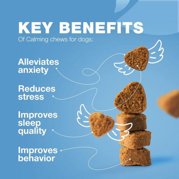 Hemp Calming Chews for Dogs Anxiety   Dog Calming Treats with Melatonin Valerian Root Chamomile Extract & Vitamin B Complex   Canine Chews for Vet Visits Grooming Travel Thunderstorms Fireworks - Image 3
