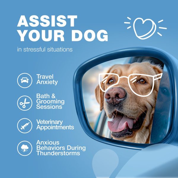 Hemp Calming Chews for Dogs Anxiety   Dog Calming Treats with Melatonin Valerian Root Chamomile Extract & Vitamin B Complex   Canine Chews for Vet Visits Grooming Travel Thunderstorms Fireworks - Image 4