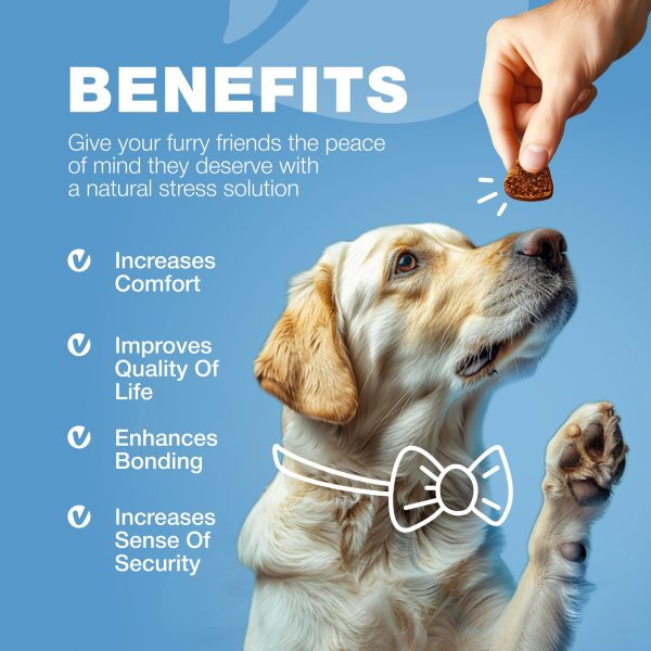 Hemp Calming Chews for Dogs Anxiety   Dog Calming Treats with Melatonin Valerian Root Chamomile Extract & Vitamin B Complex   Canine Chews for Vet Visits Grooming Travel Thunderstorms Fireworks - Image 8