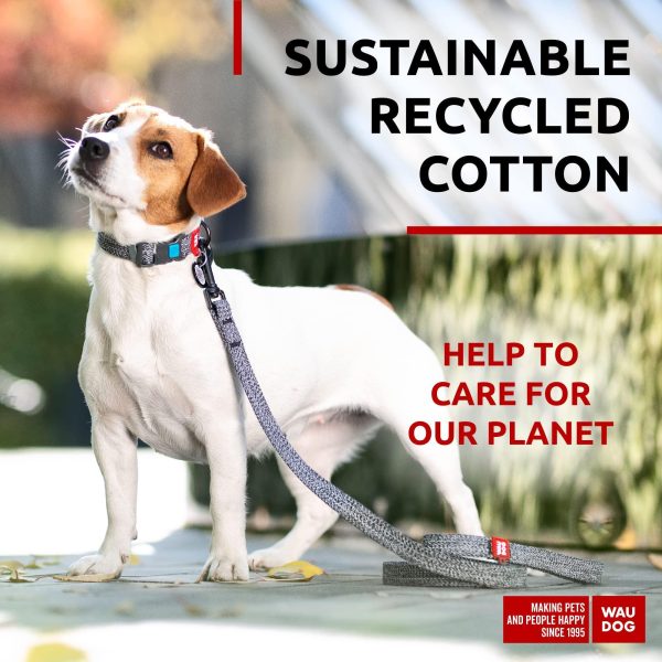 Recycled Cotton Dog Leash 6 Ft   10 Ft Eco Friendly Collar for Small Medium & Large Dogs   Reflective Dog Leash for Medium Dogs   Strong Leashes for Large Breed Dogs Puppy Leash for Small Dogs - Image 2