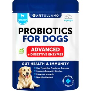 Probiotics for Dogs   Support Gut Health Itchy Skin Allergies Immunity Yeast Balance   Dog Probiotics and Digestive Enzymes   30 Sticks