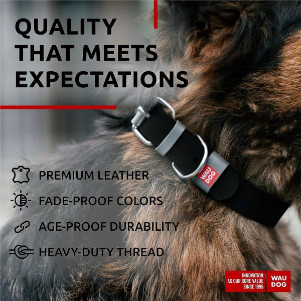 WAUDOG Long Lasting Leather Dog Collar for Large Dogs Medium & Small Dogs   Adjustable Classic Puppy Collars for Large Breed Dogs   Boy & Girl Dog Collars with Durable Buckle D Ring & QR Dog Tag - Image 3