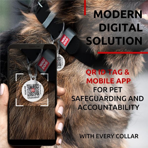 WAUDOG Long Lasting Leather Dog Collar for Large Dogs Medium & Small Dogs   Adjustable Classic Puppy Collars for Large Breed Dogs   Boy & Girl Dog Collars with Durable Buckle D Ring & QR Dog Tag - Image 5