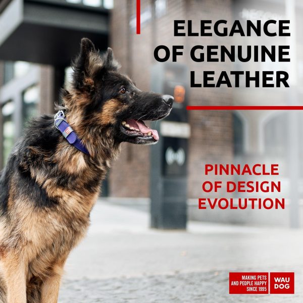 Long Lasting Leather Dog Collar for Large Dogs Medium & Small Dogs   Adjustable Classic Puppy Collars for Large Breed Dogs   Boy & Girl Dog Collars with Durable Buckle D Ring & QR Dog Tag - Image 2