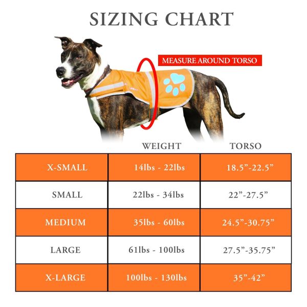 Reflective Dog Vest. Hi Visibility Fluorescent Blaze Orange Dog Vest Helps Protect Your Best Friend. Safeguard Your PUP from Motorists & Hunting Accidents On or Off Leash. (Large) - Image 2