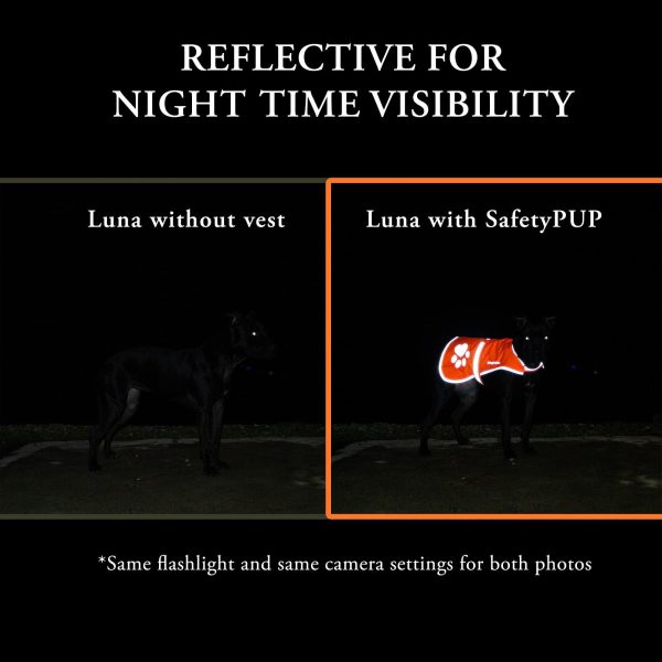 Reflective Dog Vest. Hi Visibility Fluorescent Blaze Orange Dog Vest Helps Protect Your Best Friend. Safeguard Your PUP from Motorists & Hunting Accidents On or Off Leash. (Large) - Image 5