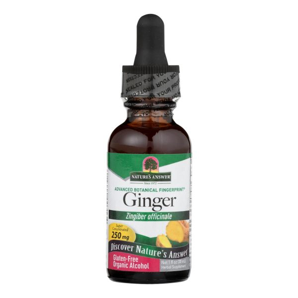 Nature's Answer - Ginger Root Extract - 1 fl oz - Image 3