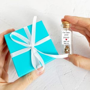Cute Girlfriend and Boyfriend Gifts   Personalized Anniversary Present for Her Him   Custom Birthday Gift Idea for Women Men (Brown Poop   I've Seen Your Poop and I Still Love You in Teal Gift Box)