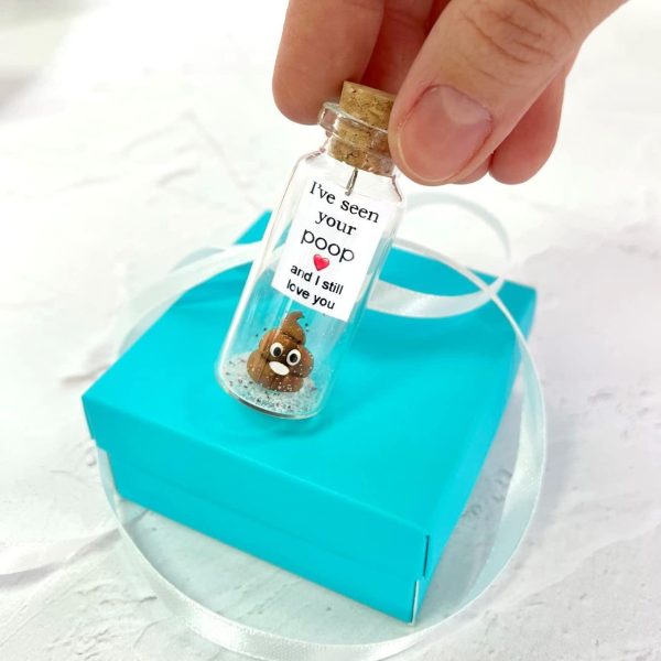 Cute Girlfriend and Boyfriend Gifts   Personalized Anniversary Present for Her Him   Custom Birthday Gift Idea for Women Men (Brown Poop   I've Seen Your Poop and I Still Love You in Teal Gift Box) - Image 2