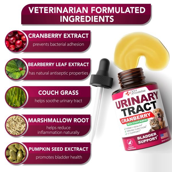 Vet Formulated UTI Drops for Cats & Dogs   Natural Cranberry Bladder & Kidney Support Supplement Multivitamin   Made in USA - Image 2