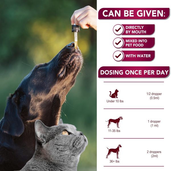 Vet Formulated UTI Drops for Cats & Dogs   Natural Cranberry Bladder & Kidney Support Supplement Multivitamin   Made in USA - Image 4