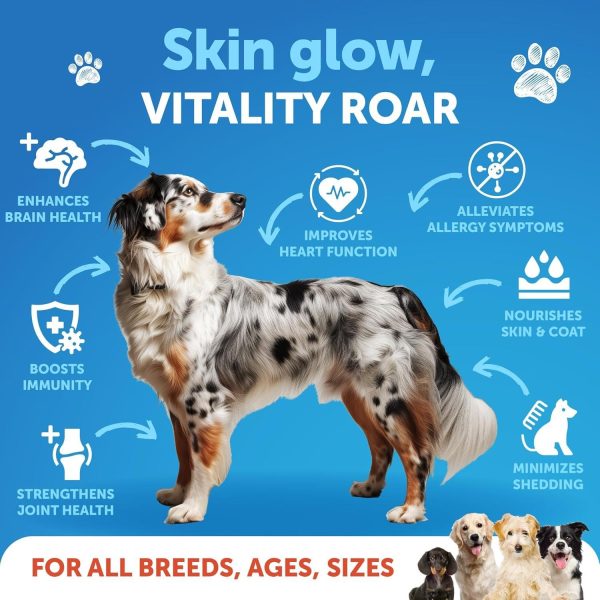 Salmon Oil for Dogs   Omega 3 for Dogs   16 FL OZ Wild Alaskan Salmon Fish Oil   Natural EPA & DHA Fatty Acids for Skin & Coat Allergy Joint & Bone Health   Liquid Support Supplement for Shedding - Image 2