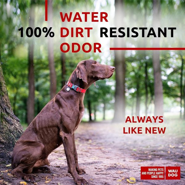 Waterproof Dog Collar   Adjustable Dog Collar for Large Dogs Small and Medium Dogs   Breakaway Dog Collar Waterproof with Plastic Buckle and QR Dog Tag Boy & Girl Dog Collars (Red) - Image 2