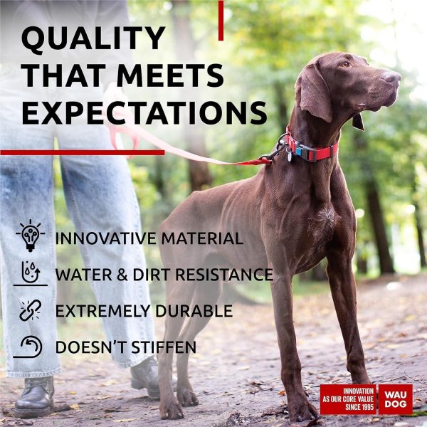 Waterproof Dog Collar   Adjustable Dog Collar for Large Dogs Small and Medium Dogs   Breakaway Dog Collar Waterproof with Plastic Buckle and QR Dog Tag Boy & Girl Dog Collars (Red) - Image 4