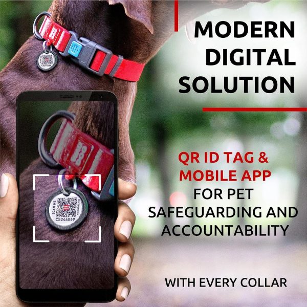 Waterproof Dog Collar   Adjustable Dog Collar for Large Dogs Small and Medium Dogs   Breakaway Dog Collar Waterproof with Plastic Buckle and QR Dog Tag Boy & Girl Dog Collars (Red) - Image 6