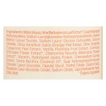The Honest Company Shampoo and Body Wash - Sweet Orange Vanilla - 10 Fl oz.