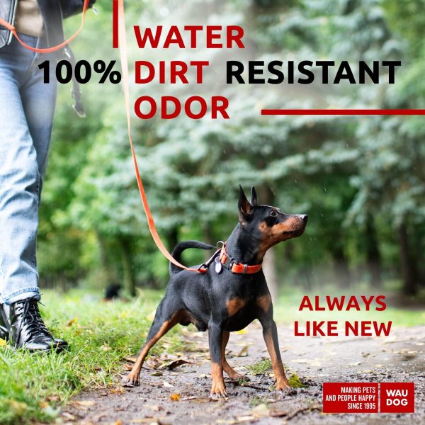 Waterproof Dog Leash 4 Ft   6 Ft   Anti Slip Dog Leash for Large Dogs Small and Medium Dogs   Heavy Duty Dog Leash with Water and Dirt Resistant   Long Or Short Dog Leashes for Boy & Girl Dogs - Image 2