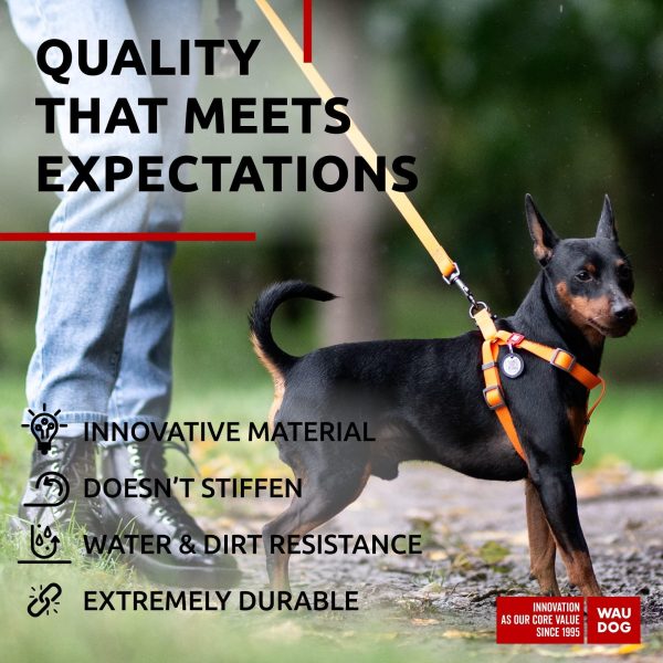 Waterproof Dog Leash 4 Ft   6 Ft   Anti Slip Dog Leash for Large Dogs Small and Medium Dogs   Heavy Duty Dog Leash with Water and Dirt Resistant   Long Or Short Dog Leashes for Boy & Girl Dogs - Image 4