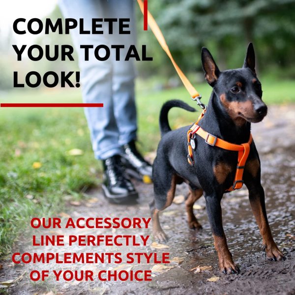 Waterproof Dog Leash 4 Ft   6 Ft   Anti Slip Dog Leash for Large Dogs Small and Medium Dogs   Heavy Duty Dog Leash with Water and Dirt Resistant   Long Or Short Dog Leashes for Boy & Girl Dogs - Image 6