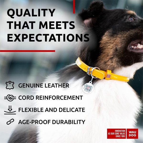 WAUDOG Ultra Soft Rolled Leather Dog Collar for Small Dogs   Soft Padded Dog Collars for Medium Dogs   Puppy Collars for Large Breed Dogs   Male and Female Dog Collar - Image 4