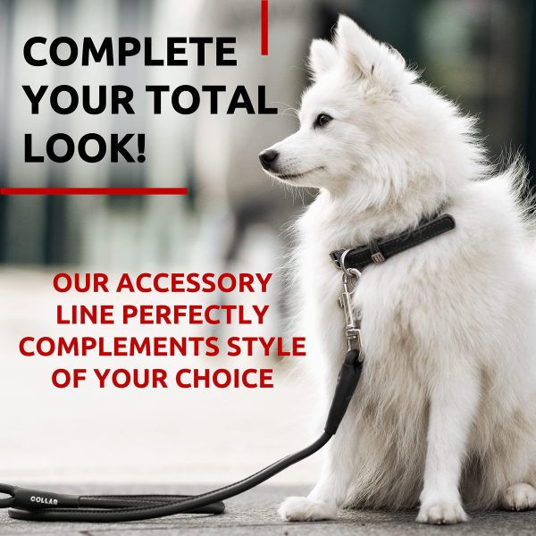 Rolled Leather Dog Leash 4Ft * 0.5 in for Small Medium and Large Dogs   Heavy Duty Leather Puppy Leash for Outdoor Walking Running Training   Strong Dog Leashes for Large Breed Dogs (Black) - Image 4