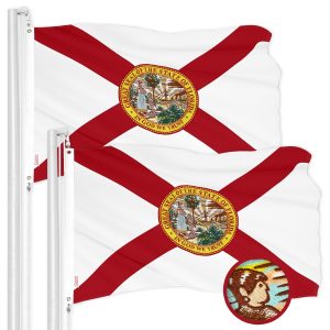 G128 2 Pack: Florida FL State Flag | 4x6 Ft | ToughWeave Series Embroidered 210D Polyester | Embroidered Design, Indoor/Outdoor, Vibrant Colors, Brass Grommets