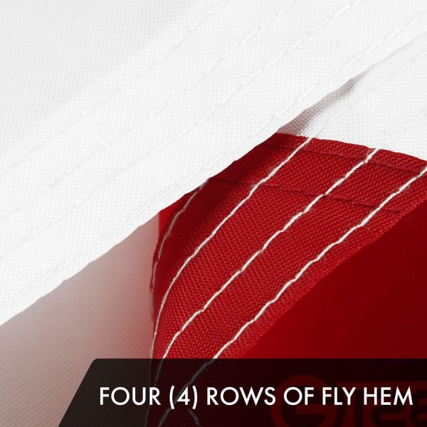 G128 2 Pack: Florida FL State Flag | 4x6 Ft | ToughWeave Series Embroidered 210D Polyester | Embroidered Design, Indoor/Outdoor, Vibrant Colors, Brass Grommets - Image 5