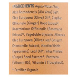 Organic Excellence Wild Mint Conditioner - 16 oz