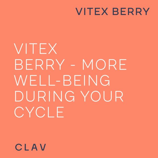 Vitex Berry   Premium Chasteberry 4:1 Extract (Vitex Agnus Castus)   Menopause & PMS Support   Hormone Balance for Women   180 Capsules   6 Month Supply   Made in Germany - Image 5