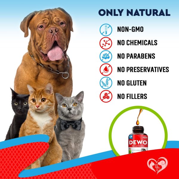 Cats & Dogs Liquid Herbal Medicine & Natural Broad Spectrum Treatment for Tapeworm Whipworm Roundworm and Hookworm   Prevention Medication & Supplement Drops for Kitten and Puppies   Made in USA - Image 6