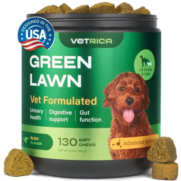 Dog Urine Neutralizer for Lawn   Grass Burn Spot Chews for Dogs   Dog Pee Lawn Spot Saver Caused by Dog Urine   Digestive Health Support Soft Chews   Grass Savers for Dog Urine   Grass Treatment Rocks