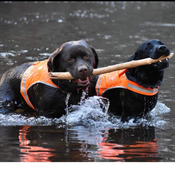Lite Dog Vest. Coverage to Mid Back. Reflective Hi Visibility Blaze Orange Fluorescent Fabric Helps to Keep Them in Sight and Safe On and Off Leash. - Image 7
