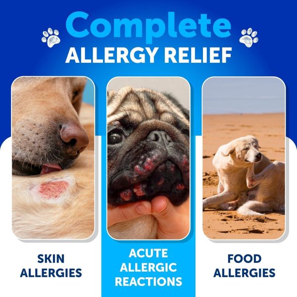 Probiotics for Dogs   Support Gut Health Itchy Skin Allergies Immunity Yeast Balance   Dog Probiotics and Digestive Enzymes with Prebiotics   Reduce Diarrhea Gas   180 Probiotic Chews for Dogs - Image 3