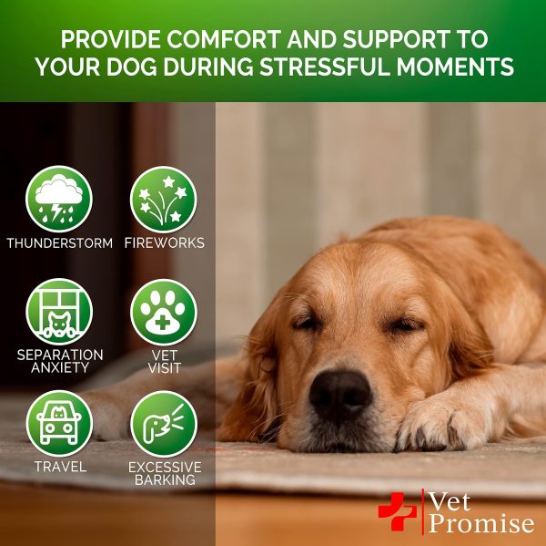 Hemp Calming Chews for Dogs with Anxiety and Stress   Dog Calming Treats   Dog Anxiety Relief   Separation   Travel   Barking   Melatonin for Dogs   Hemp Oil   Calming Treats for Dogs   120 Treats - Image 4